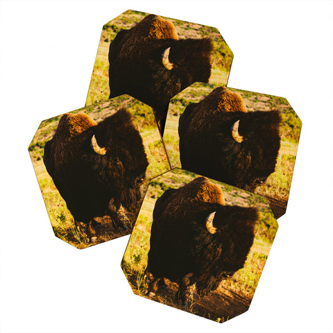 Bethany Young Photography Beauty Beast Coaster Set