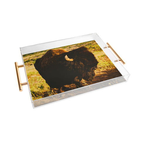 Bethany Young Photography Beauty Beast Acrylic Tray