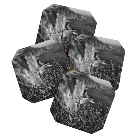 Bethany Young Photography Big Sur Wild Flowers Coaster Set