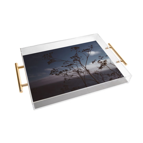 Bethany Young Photography Big Sur Wild Flowers III Acrylic Tray