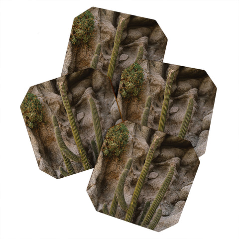 Bethany Young Photography Cabo Cactus III Coaster Set