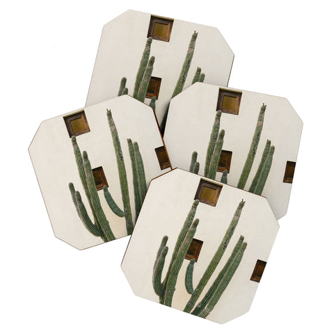 Bethany Young Photography Cabo Cactus IX Coaster Set