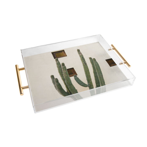 Bethany Young Photography Cabo Cactus IX Acrylic Tray