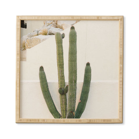 Bethany Young Photography Cabo Cactus X Framed Wall Art