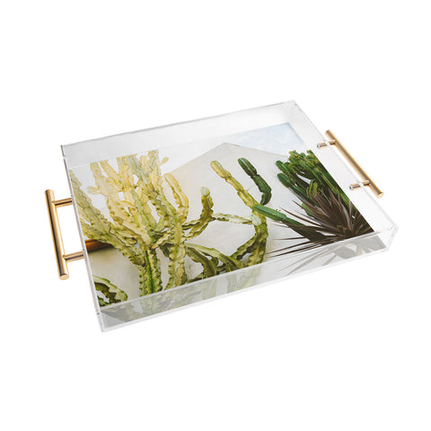 Bethany Young Photography California Cactus Garden Acrylic Tray