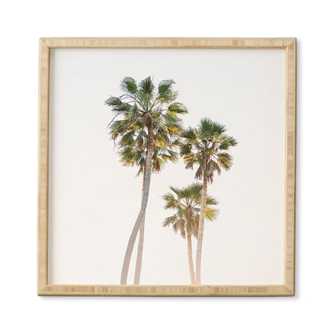 Bethany Young Photography California Palms Framed Wall Art