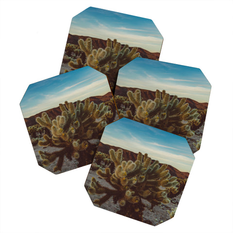 Bethany Young Photography Cholla Cactus Garden X Coaster Set