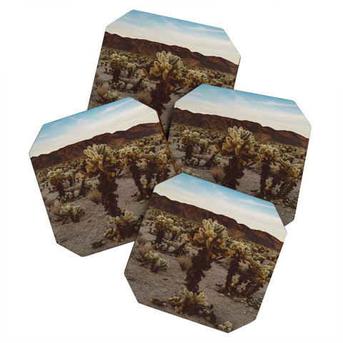 Bethany Young Photography Cholla Cactus Garden XII Coaster Set