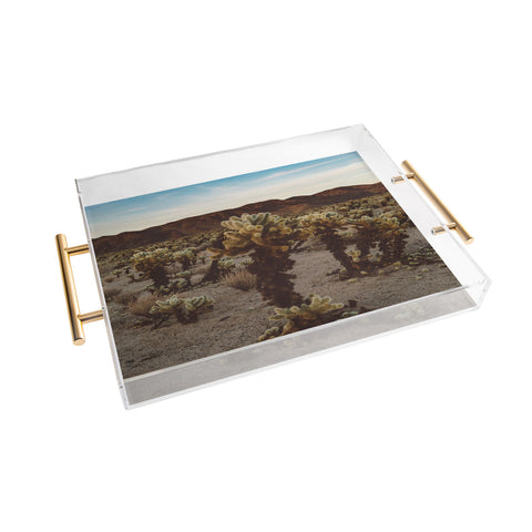 Bethany Young Photography Cholla Cactus Garden XII Acrylic Tray