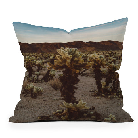 Bethany Young Photography Cholla Cactus Garden XII Outdoor Throw Pillow