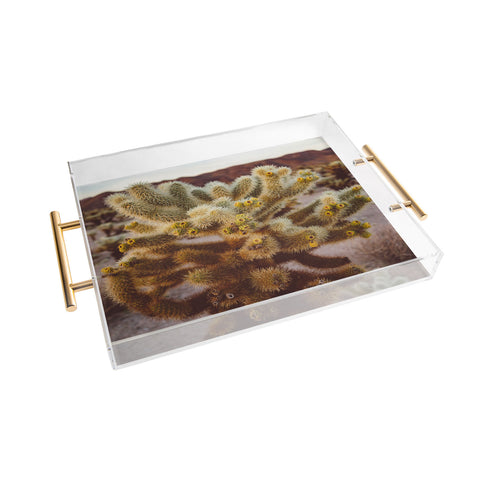 Bethany Young Photography Cholla Cactus Garden XIV Acrylic Tray