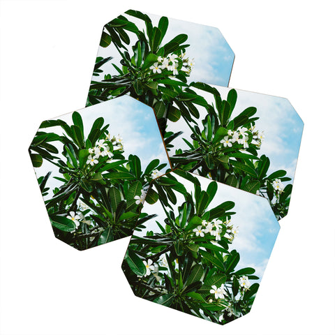 Bethany Young Photography Hawaiian Blooms Coaster Set