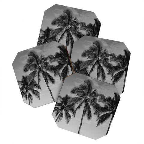 Bethany Young Photography Hawaiian Palms IV Coaster Set