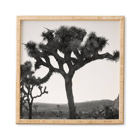 Bethany Young Photography Joshua Tree Monochrome on Film Framed Wall Art