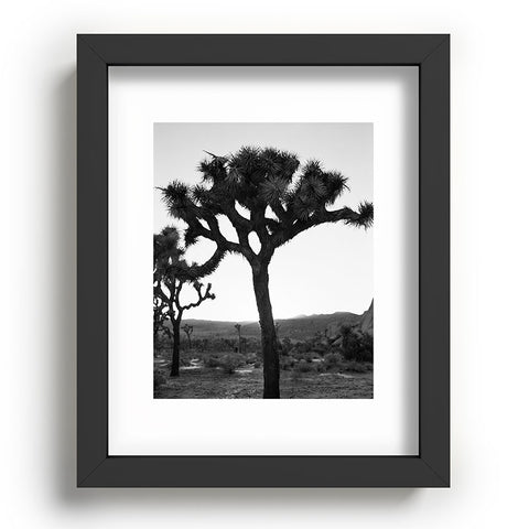 Bethany Young Photography Joshua Tree Monochrome on Film Recessed Framing Rectangle