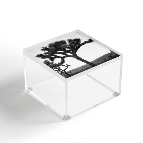 Bethany Young Photography Joshua Tree Monochrome on Film Acrylic Box