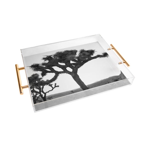Bethany Young Photography Joshua Tree Monochrome on Film Acrylic Tray