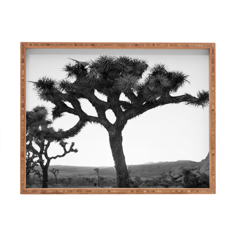 Bethany Young Photography Joshua Tree Monochrome on Film Rectangular Tray