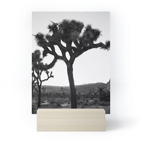 Bethany Young Photography Joshua Tree Monochrome on Film Mini Art Print