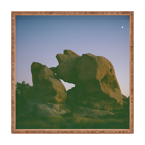 Bethany Young Photography Joshua Tree Moon VI on Film Square Tray