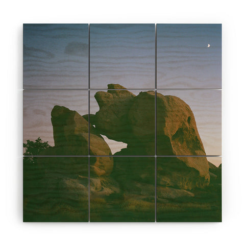 Bethany Young Photography Joshua Tree Moon VI on Film Wood Wall Mural