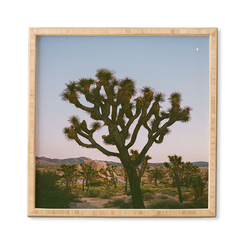 Bethany Young Photography Joshua Tree Moon VIII on Film Framed Wall Art