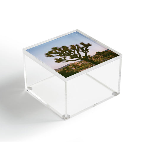 Bethany Young Photography Joshua Tree Moon VIII on Film Acrylic Box