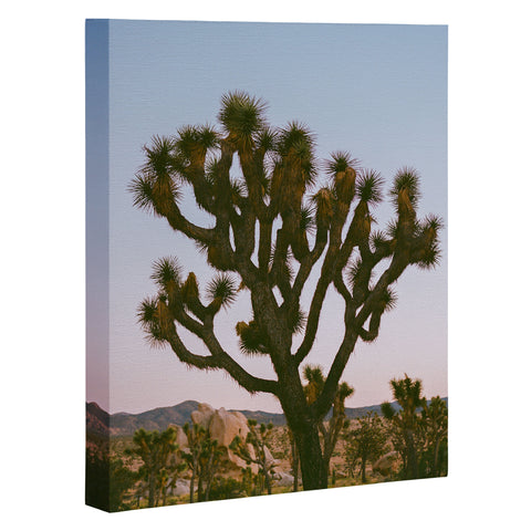 Bethany Young Photography Joshua Tree Moon VIII on Film Art Canvas