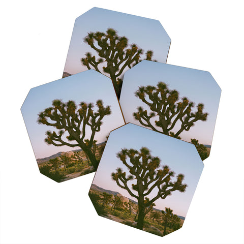 Bethany Young Photography Joshua Tree Moon VIII on Film Coaster Set