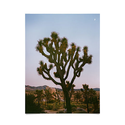 Bethany Young Photography Joshua Tree Moon VIII on Film Poster