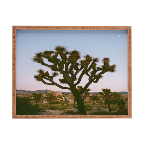 Bethany Young Photography Joshua Tree Moon VIII on Film Rectangular Tray
