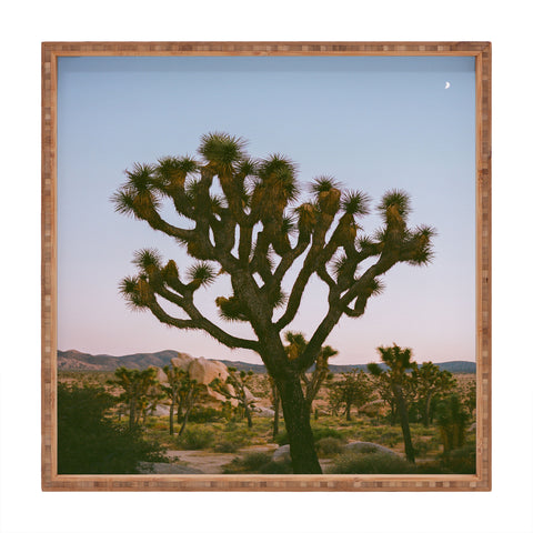 Bethany Young Photography Joshua Tree Moon VIII on Film Square Tray