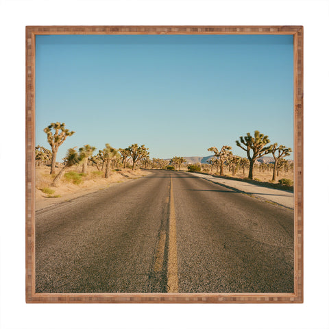 Bethany Young Photography Joshua Tree Road II on Film Square Tray