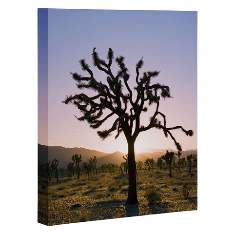 Bethany Young Photography Joshua Tree Sunset II on Film Art Canvas