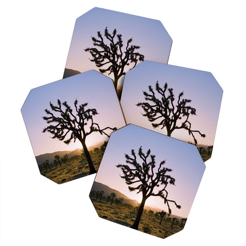Bethany Young Photography Joshua Tree Sunset II on Film Coaster Set