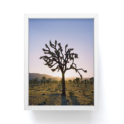Bethany Young Photography Joshua Tree Sunset II on Film Framed Mini Art Print
