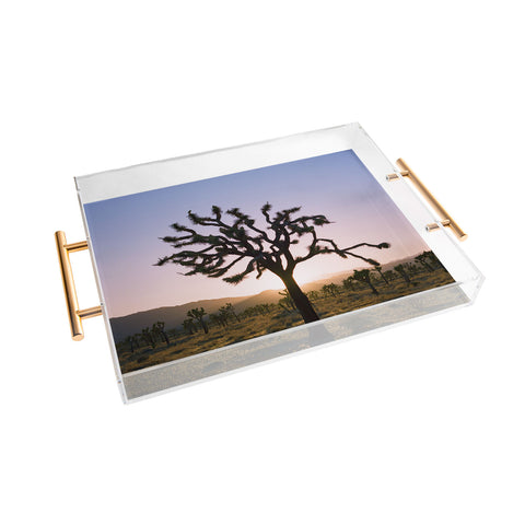 Bethany Young Photography Joshua Tree Sunset II on Film Acrylic Tray