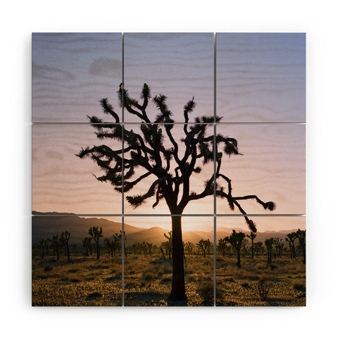 Bethany Young Photography Joshua Tree Sunset II on Film Wood Wall Mural