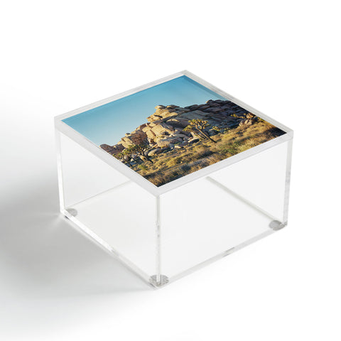 Bethany Young Photography Joshua Tree Sunset on Film Acrylic Box