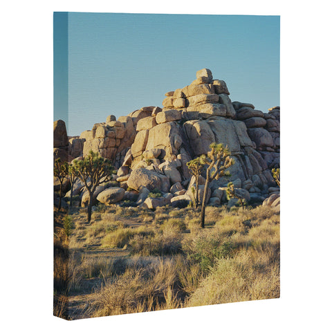 Bethany Young Photography Joshua Tree Sunset on Film Art Canvas