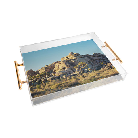Bethany Young Photography Joshua Tree Sunset on Film Acrylic Tray