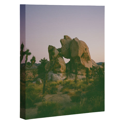 Bethany Young Photography Joshua Tree Twilight on Film Art Canvas