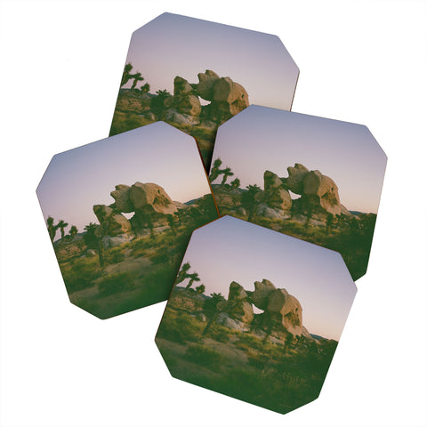 Bethany Young Photography Joshua Tree Twilight on Film Coaster Set