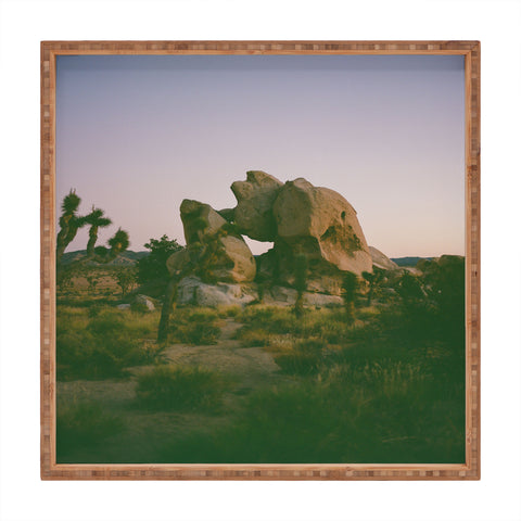 Bethany Young Photography Joshua Tree Twilight on Film Square Tray