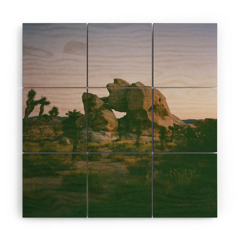 Bethany Young Photography Joshua Tree Twilight on Film Wood Wall Mural