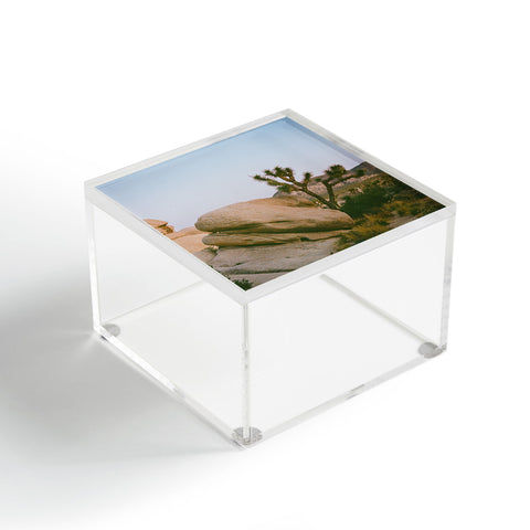 Bethany Young Photography Joshua Tree Twilight V on Film Acrylic Box