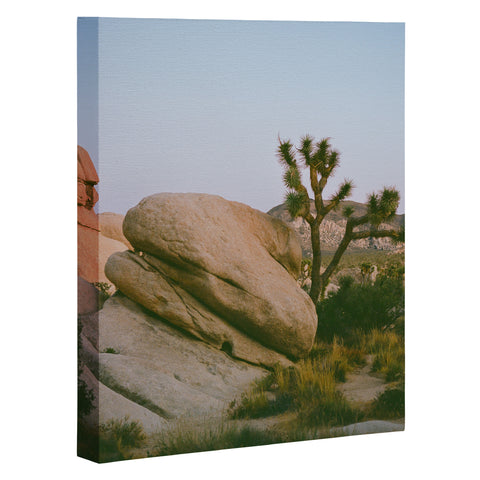 Bethany Young Photography Joshua Tree Twilight V on Film Art Canvas