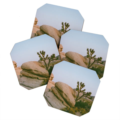 Bethany Young Photography Joshua Tree Twilight V on Film Coaster Set