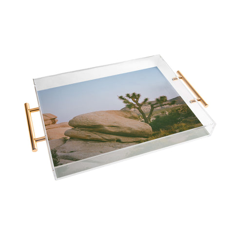 Bethany Young Photography Joshua Tree Twilight V on Film Acrylic Tray
