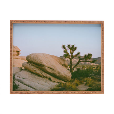 Bethany Young Photography Joshua Tree Twilight V on Film Rectangular Tray